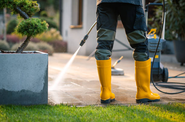 Best Best Pressure Washing Companies  in Dawson, MN